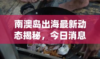 南澳岛出海最新动态揭秘，今日消息一网打尽！