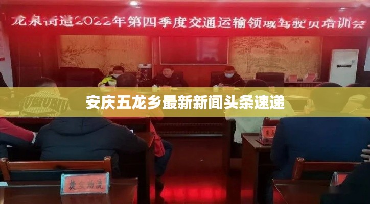 安庆五龙乡最新新闻头条速递