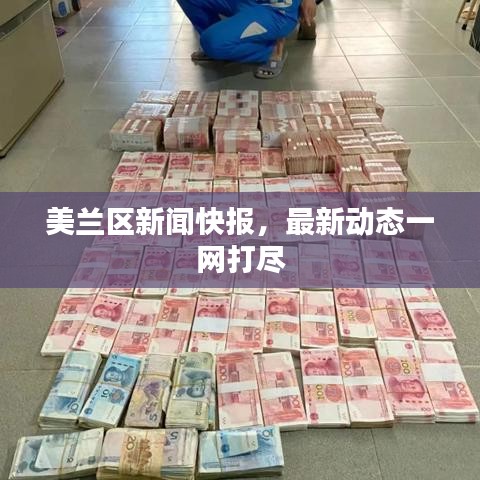 美兰区新闻快报，最新动态一网打尽