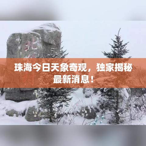 珠海今日天象奇观，独家揭秘最新消息！