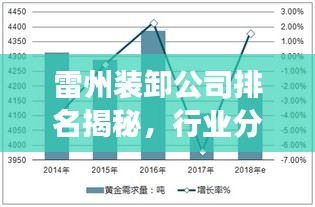 雷州装卸公司排名揭秘，行业分析与深度解读