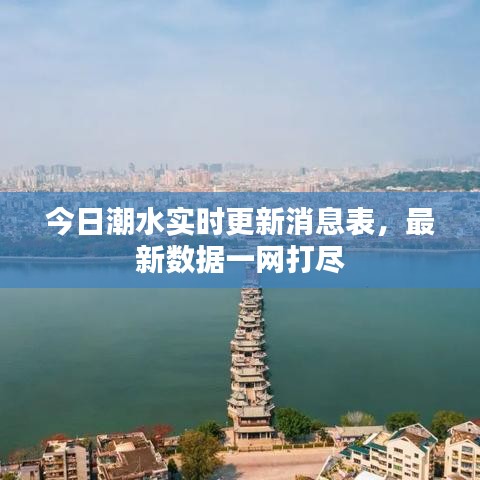 今日潮水实时更新消息表，最新数据一网打尽