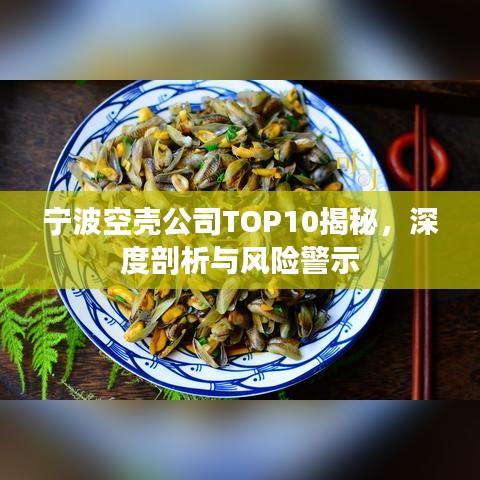 宁波空壳公司TOP10揭秘，深度剖析与风险警示