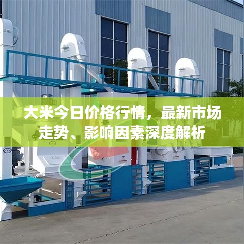 大米今日价格行情，最新市场走势、影响因素深度解析