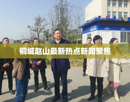 桐城赵山最新热点新闻聚焦