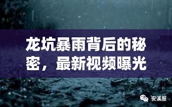 龙坑暴雨背后的秘密，最新视频曝光，揭示惊人真相！