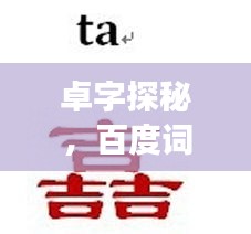 卓字探秘，百度词汇组合之旅