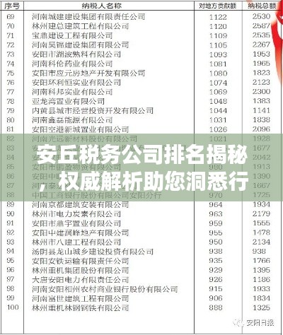 安丘税务公司排名揭秘，权威解析助您洞悉行业格局
