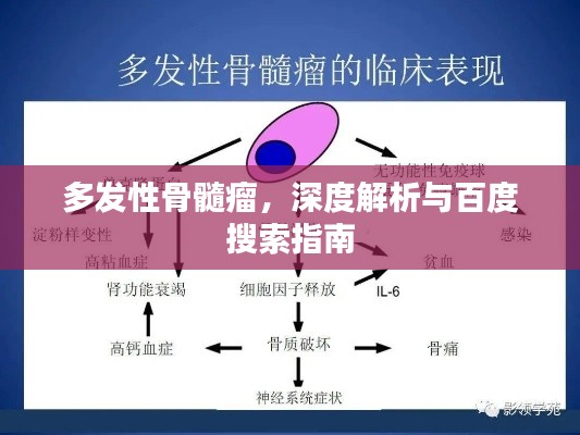 多发性骨髓瘤，深度解析与百度搜索指南