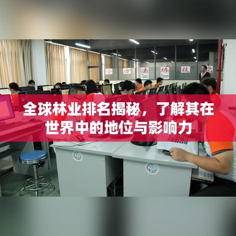 全球林业排名揭秘，了解其在世界中的地位与影响力