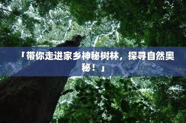 「带你走进家乡神秘树林，探寻自然奥秘！」