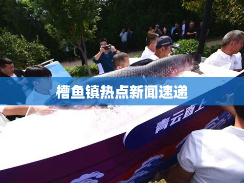无独有偶 第2页