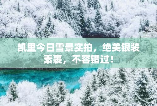 凯里今日雪景实拍，绝美银装素裹，不容错过！