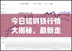 今日铝钢铁行情大揭秘，最新走势分析与查询