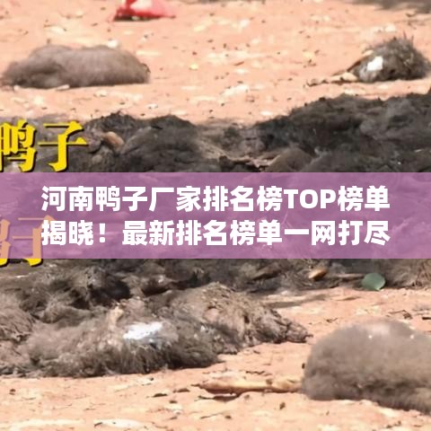 河南鸭子厂家排名榜TOP榜单揭晓！最新排名榜单一网打尽！