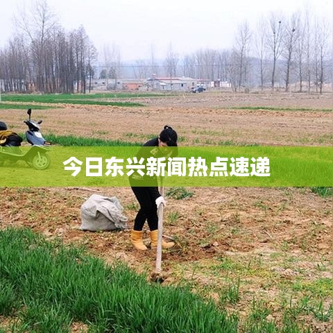 今日东兴新闻热点速递