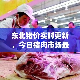 东北猪价实时更新，今日猪肉市场最新动态分析