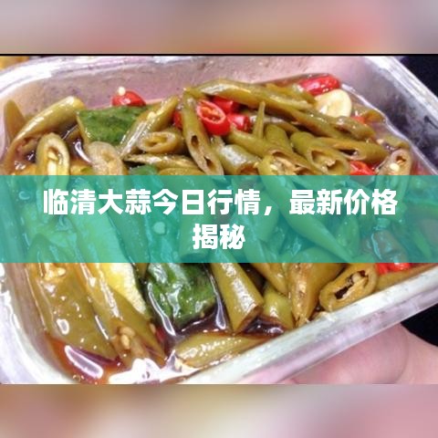 临清大蒜今日行情，最新价格揭秘