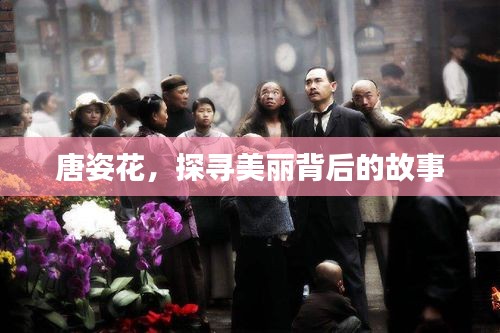 唐姿花，探寻美丽背后的故事