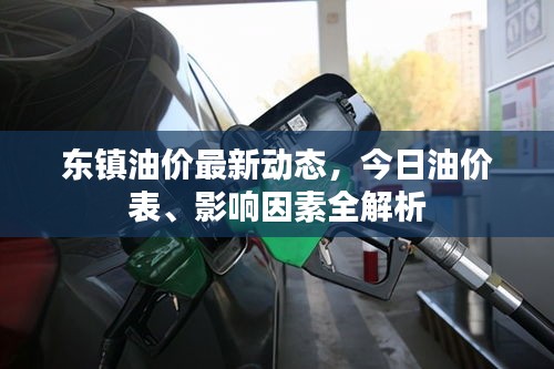东镇油价最新动态，今日油价表、影响因素全解析