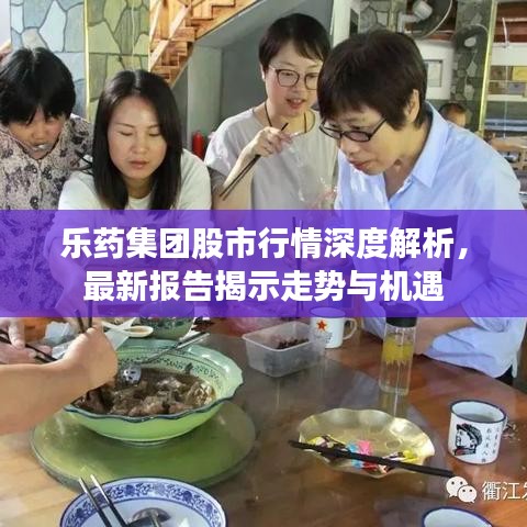 乐药集团股市行情深度解析，最新报告揭示走势与机遇