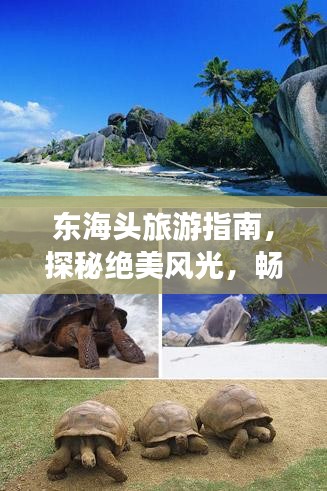 东海头旅游指南，探秘绝美风光，畅游梦幻之旅！