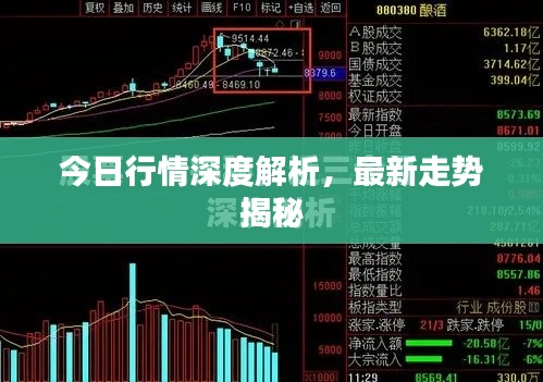 今日行情深度解析，最新走势揭秘