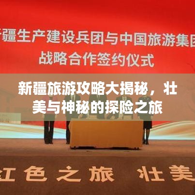新疆旅游攻略大揭秘，壮美与神秘的探险之旅