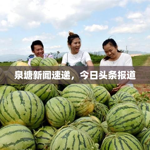 泉塘新闻速递，今日头条报道