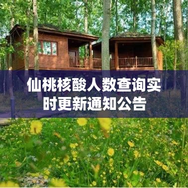 仙桃核酸人数查询实时更新通知公告
