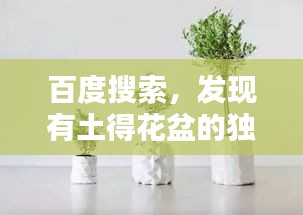 百度搜索，发现有土得花盆的独特魅力