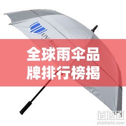 全球雨伞品牌排行榜揭晓，TOP品牌大比拼！