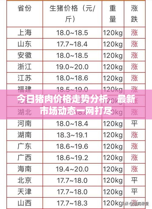 今日猪肉价格走势分析，最新市场动态一网打尽