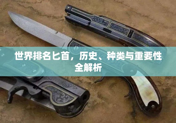 世界排名匕首，历史、种类与重要性全解析