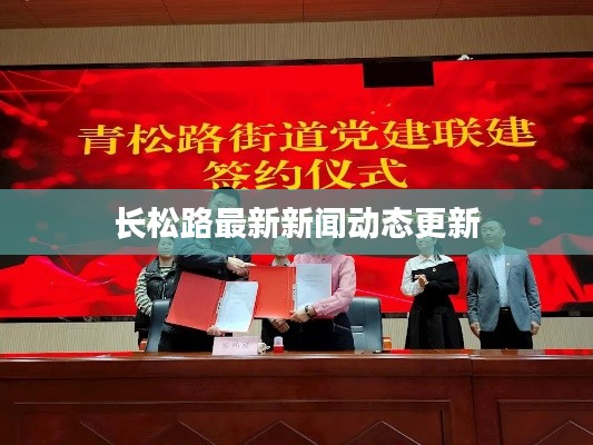 长松路最新新闻动态更新