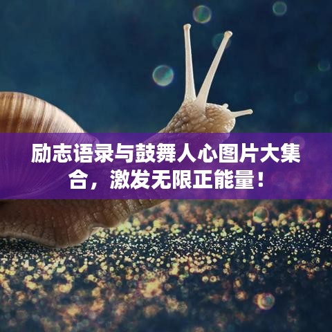 励志语录与鼓舞人心图片大集合，激发无限正能量！