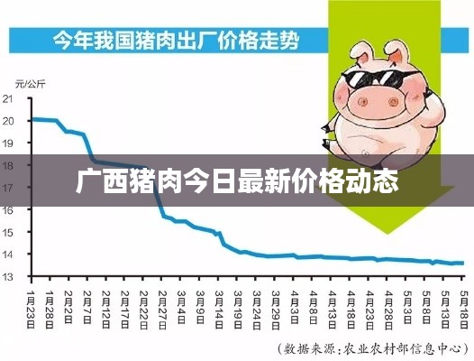 广西猪肉今日最新价格动态