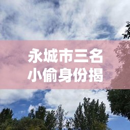 永城市三名小偷身份揭秘与最新动态报道