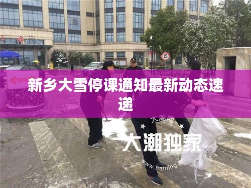 新乡大雪停课通知最新动态速递