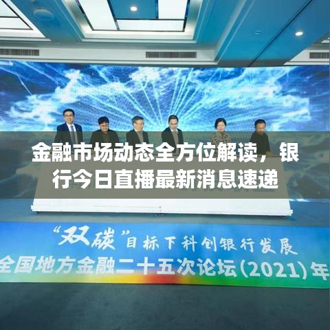 金融市场动态全方位解读，银行今日直播最新消息速递