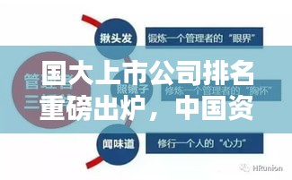 国大上市公司排名重磅出炉，中国资本市场龙头企业全景解析