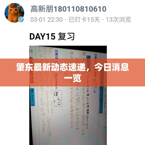 肇东最新动态速递，今日消息一览