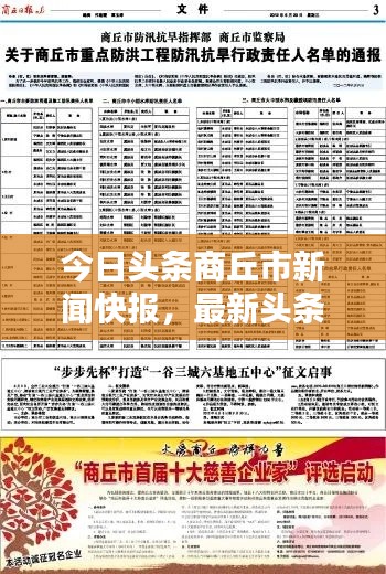 今日头条商丘市新闻快报，最新头条概览