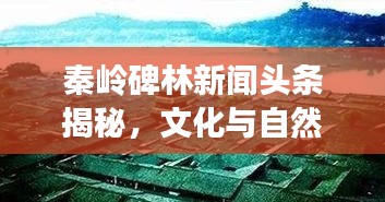 秦岭碑林新闻头条揭秘，文化与自然的和谐交融之旅
