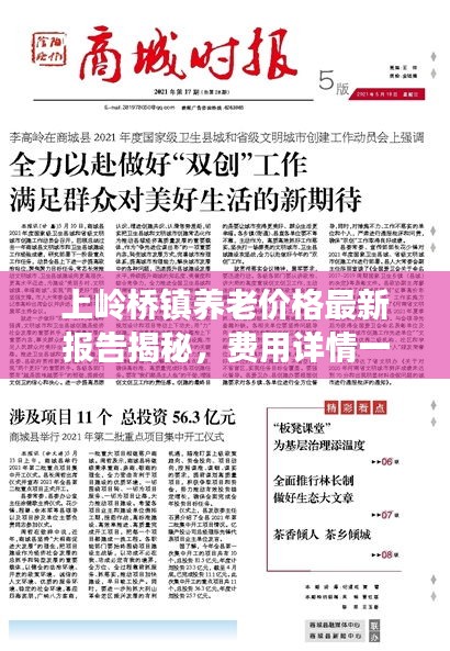 上岭桥镇养老价格最新报告揭秘，费用详情一网打尽
