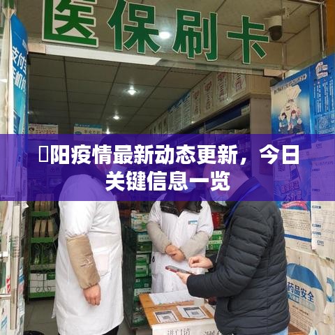 徳阳疫情最新动态更新，今日关键信息一览