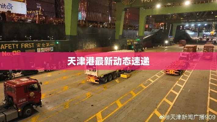 天津港最新动态速递