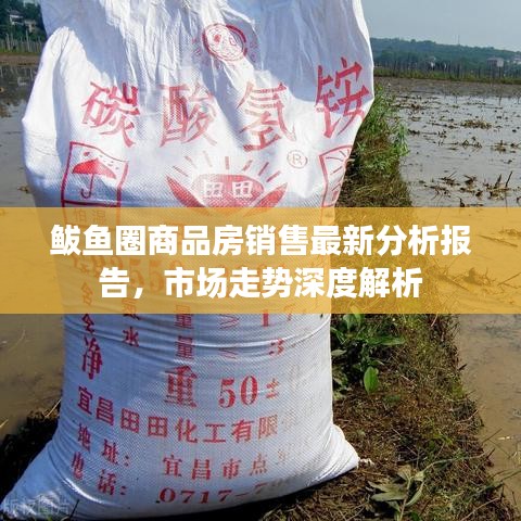鲅鱼圈商品房销售最新分析报告，市场走势深度解析