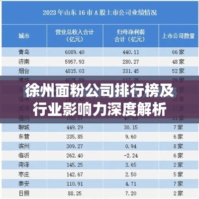 徐州面粉公司排行榜及行业影响力深度解析