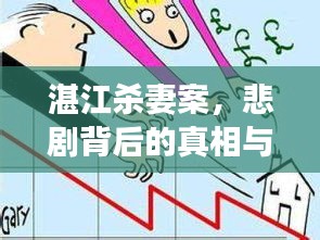湛江杀妻案，悲剧背后的真相与深度剖析